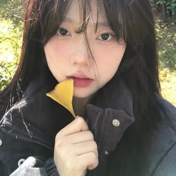 呆瓜兄弟